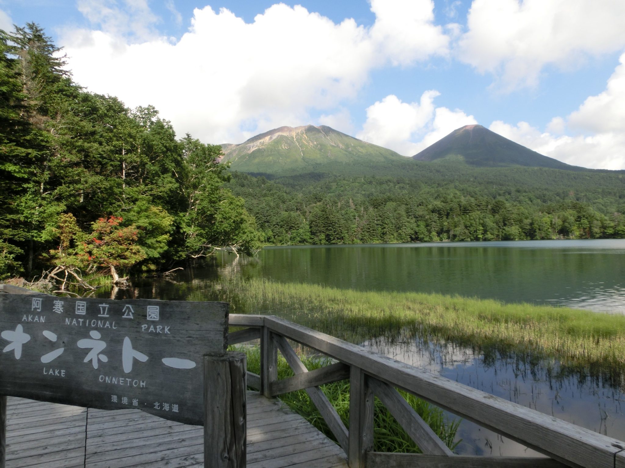 五色沼”の名に偽りなし！ 神秘の湖オンネトーの魅力 | ひがし北海道