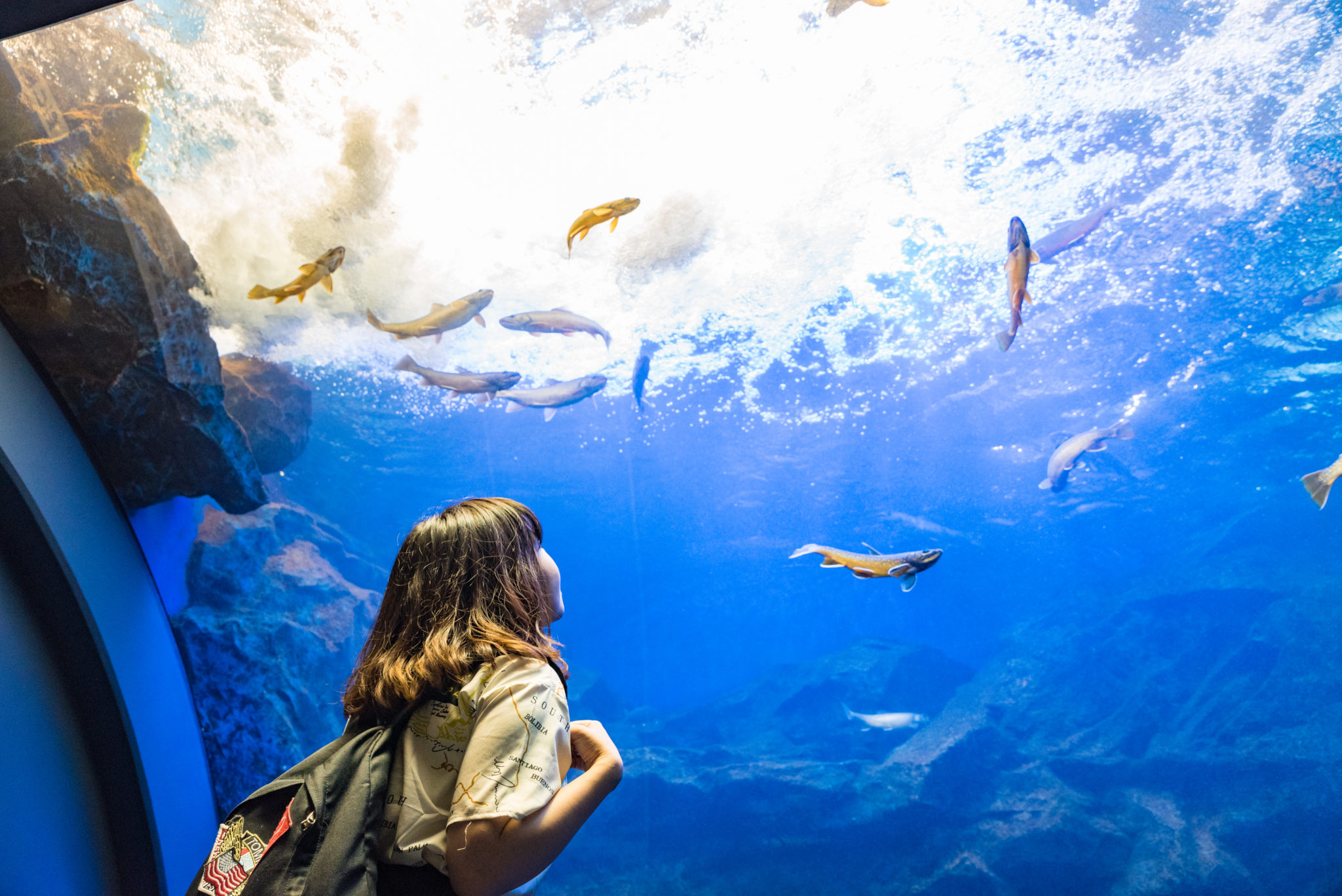 Read more about the article 北の大地の水族館