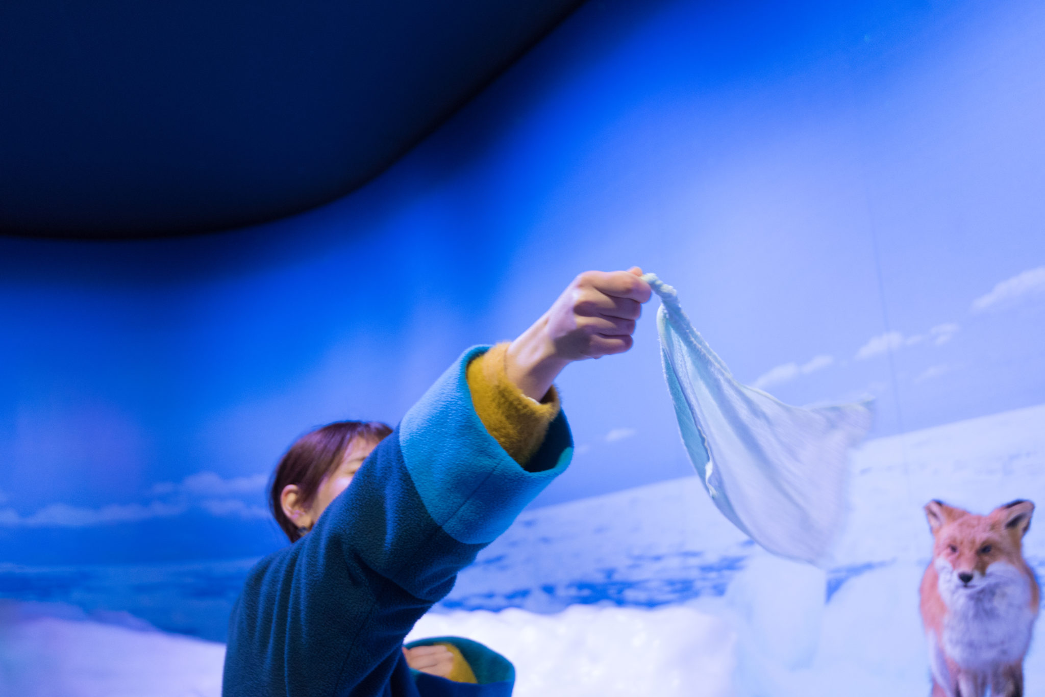 フェスでもないけどタオルをブンブン！ で極寒とは何かを知る