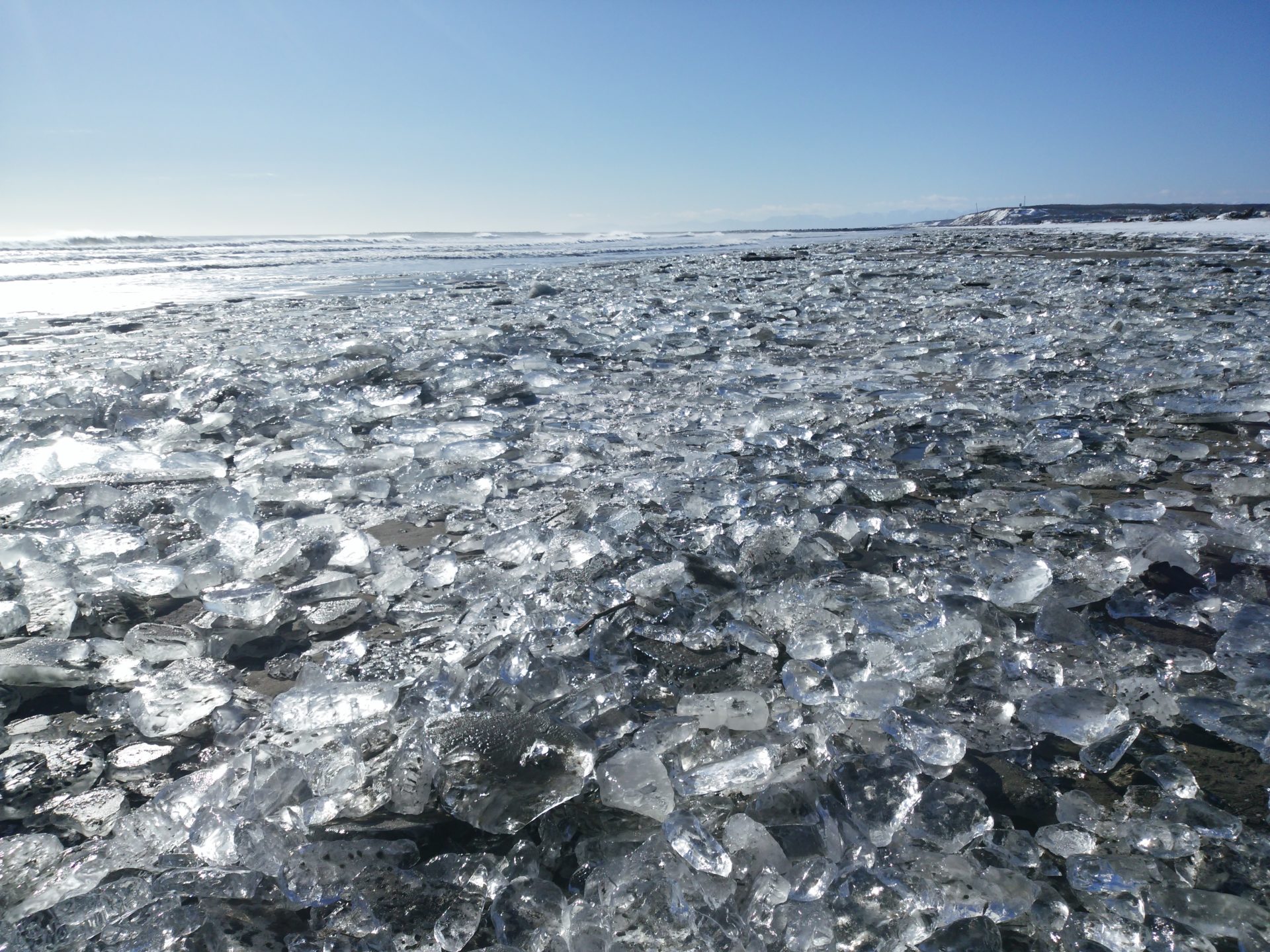 レンタカーなし で楽しむ 冬のひがし北海道の旅 ひがし北海道スタイル 女子旅