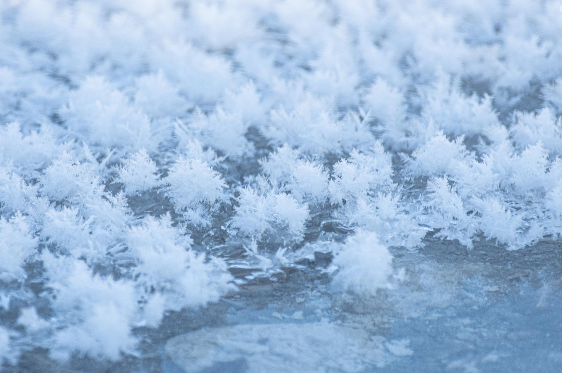 冬の阿寒湖上に咲く可憐な氷の花 「フロストフラワー」 | 【公式観光