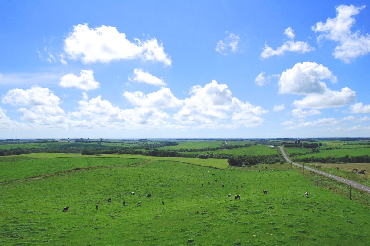 別海】これぞ北海道！！ 広大な景色を新酪農村展望台で体感しよう