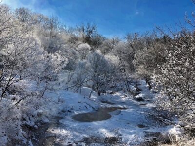 霧氷.（阿寒湖観光協会）jpg